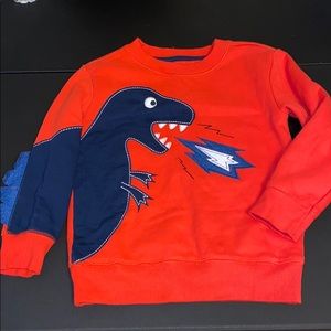 Boys 4t dinosaur pull over sweater